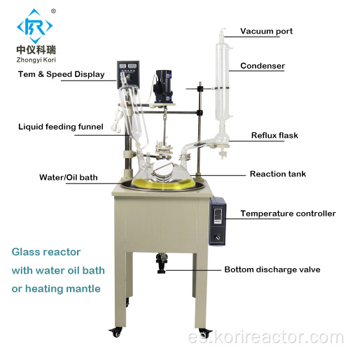 Reactor de vidrio de laboratorio DF-50L con baño